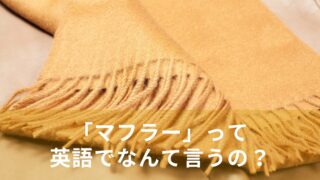 「マフラー」って英語でなんて言うの？