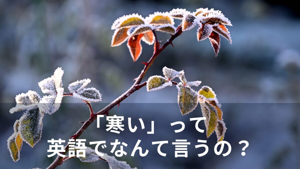 「寒い」って英語でなんて言うの？