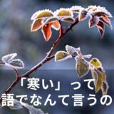 「寒い」って英語でなんて言うの？