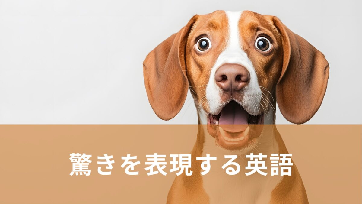 驚きを表現する英語