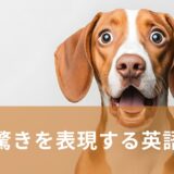 驚きを表現する英語