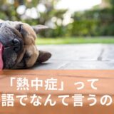 「熱中症」って英語でなんて言うの？