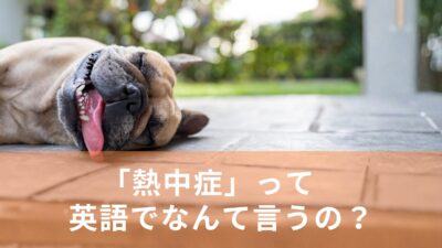 「熱中症」って英語でなんて言うの？
