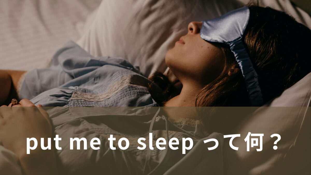 put me to sleep って何？