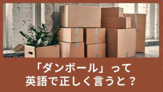 「ダンボール」を英語で正しく言うと？