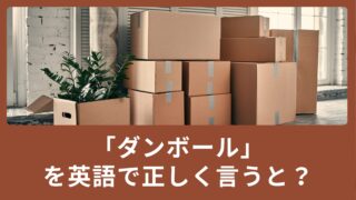 「ダンボール」を英語で正しく言うと？