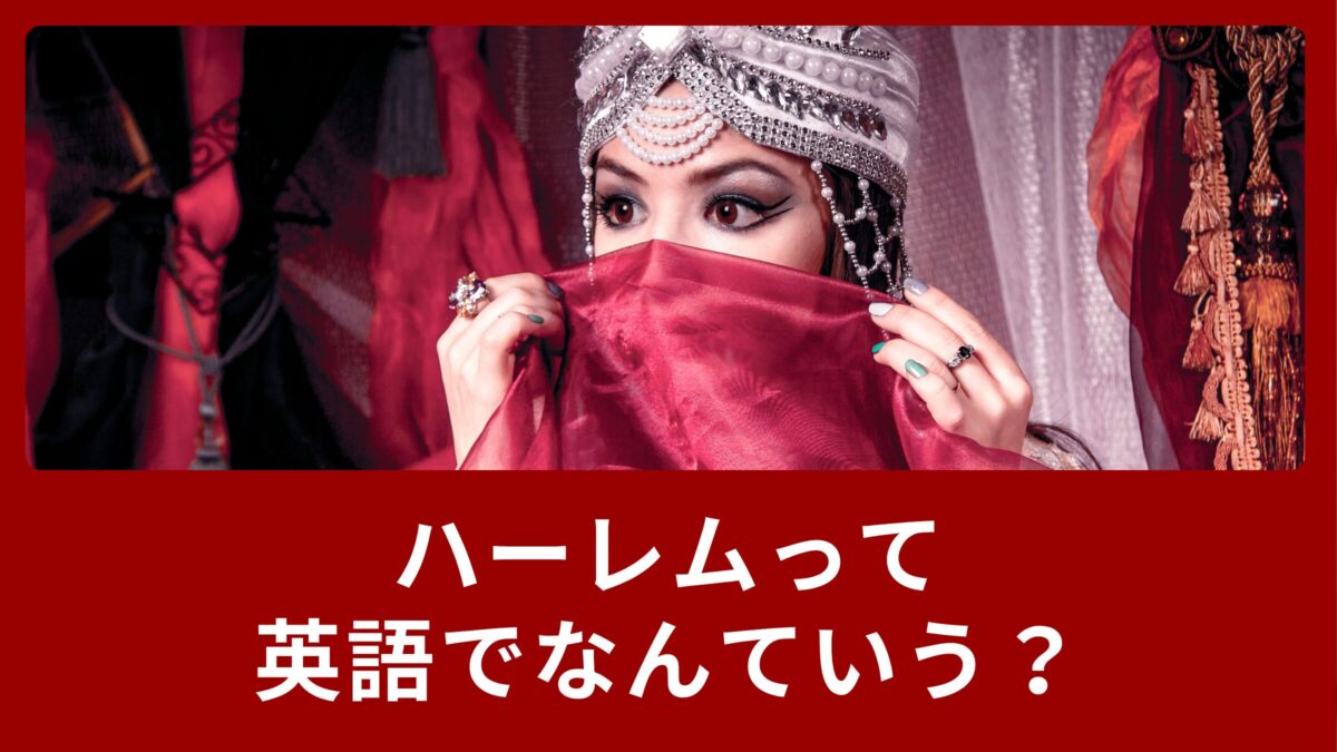 ハーレムって英語でなんていうの？英語の表現をご紹介！