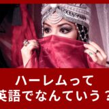 ハーレムって英語でなんていうの？英語の表現をご紹介！