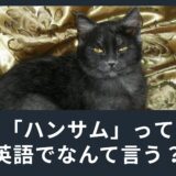 「ハンサム」って英語でなんて言う？かっこいいを表す英単語とは