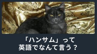 「ハンサム」って英語でなんて言う？かっこいいを表す英単語とは