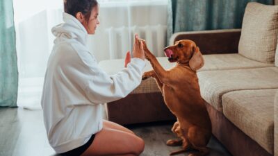 トレーナーって英語でなんていう？洋服に関連する表現もご紹介！