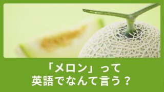 メロンを英語で言うと？ウリ科植物に関する日常で使える英語表現ご紹介！