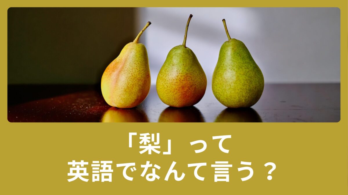 梨って英語でなんて言うの？発音方法についてもご紹介！