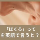 ほくろって英語で何と言う？　顔のパーツの英単語