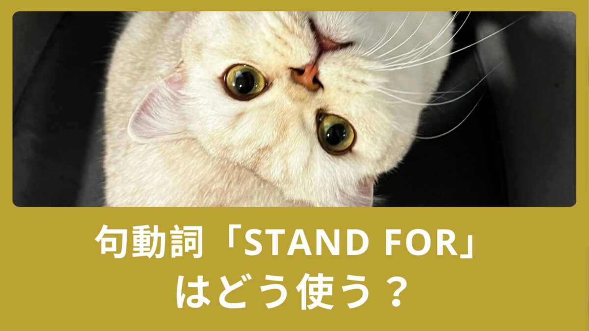句動詞「stand for」はどう使う？【表す・賛成する・立候補する・耐える】