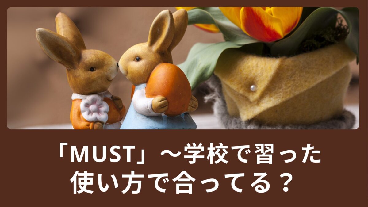 ”Must”  〜学校で習った使い方で合ってる？〜