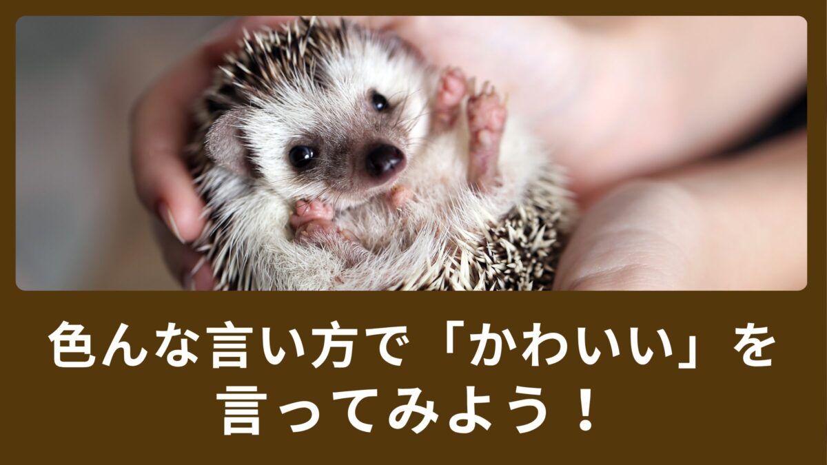 “Cute! ” ばかり使ってしまう？色んな言い方で「かわいい」を言ってみよう！