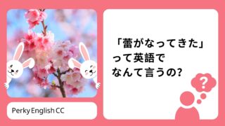 「蕾がなってきた」「春はもうすぐだね！」って英語でなんて言うの？