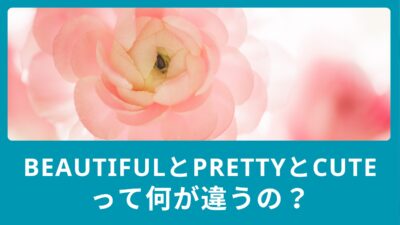 BeautifulとPrettyとCuteって何が違うの？