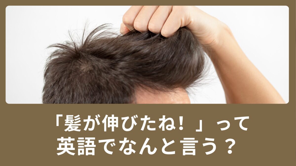 「髪が伸びたね！」「髪を伸ばしています」って英語でなんて言うの？