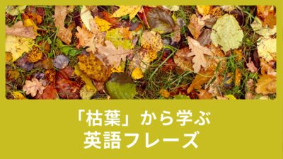 「Autumn Leaves」名曲ジャズナンバー「枯葉」から学ぶ英語フレーズ