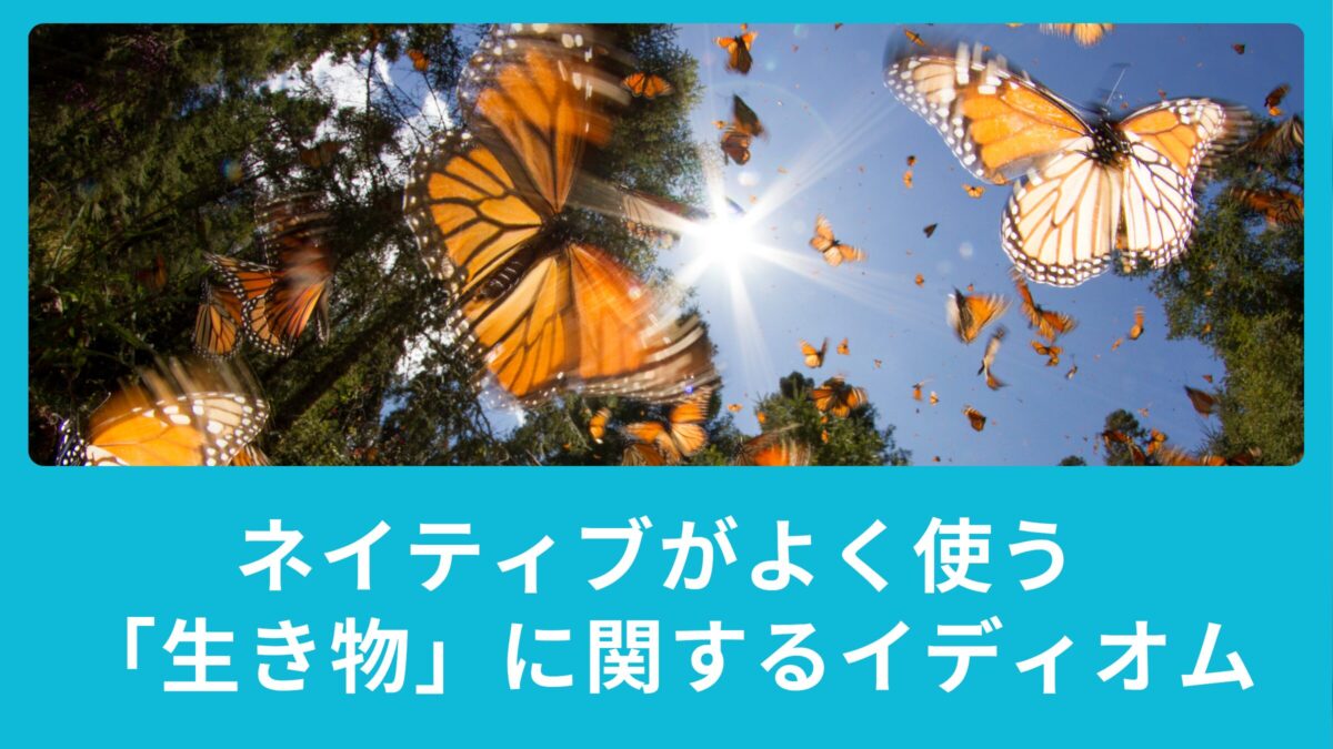 ネイティブがよく使う！「生き物」に関するイディオムをご紹介