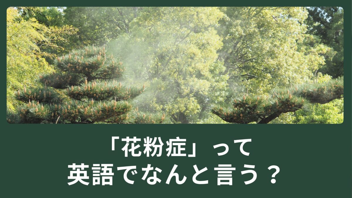 くしゃみが止まらない！花粉症って英語でなんて言うの？