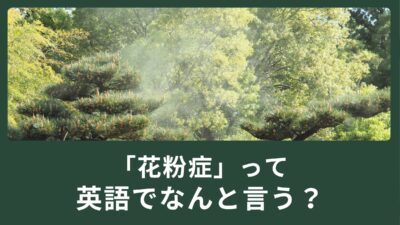 くしゃみが止まらない！花粉症って英語でなんて言うの？