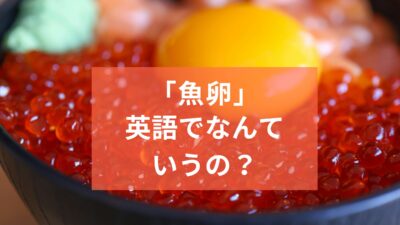 「魚卵」って英語でなんて言うの？「イクラ・タラコ・ウニ」の英語表現も！