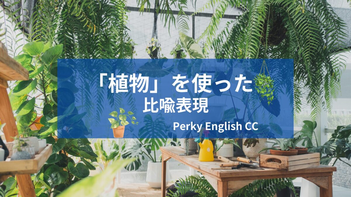 いくつ知ってる？面白い英語の比喩表現～植物編～ 