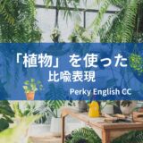 いくつ知ってる？面白い英語の比喩表現～植物編～ 