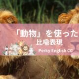 いくつ知ってる？面白い英語の比喩表現～動物編～