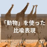 いくつ知ってる？面白い英語の比喩表現～動物編～