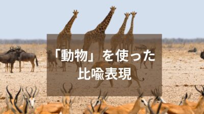 いくつ知ってる？面白い英語の比喩表現～動物編～
