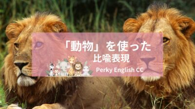 いくつ知ってる？面白い英語の比喩表現～動物編～