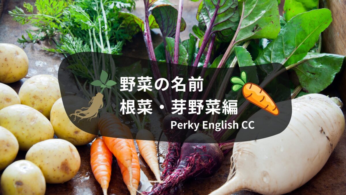いくつ言える？意外と知らない野菜の英語名【根菜・芽野菜】