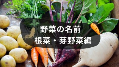 いくつ言える？意外と知らない野菜の英語名【根菜・芽野菜】