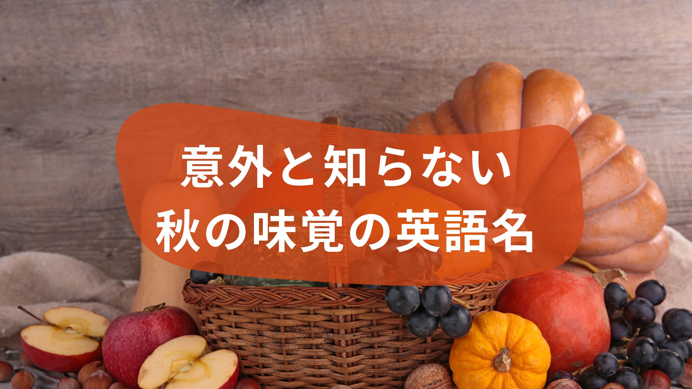 コラム