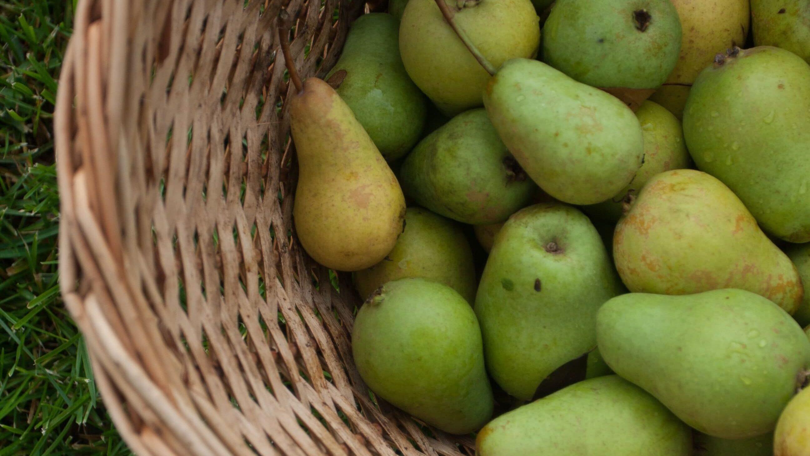 mekht-oDexRqBtBdA-unsplash (1)