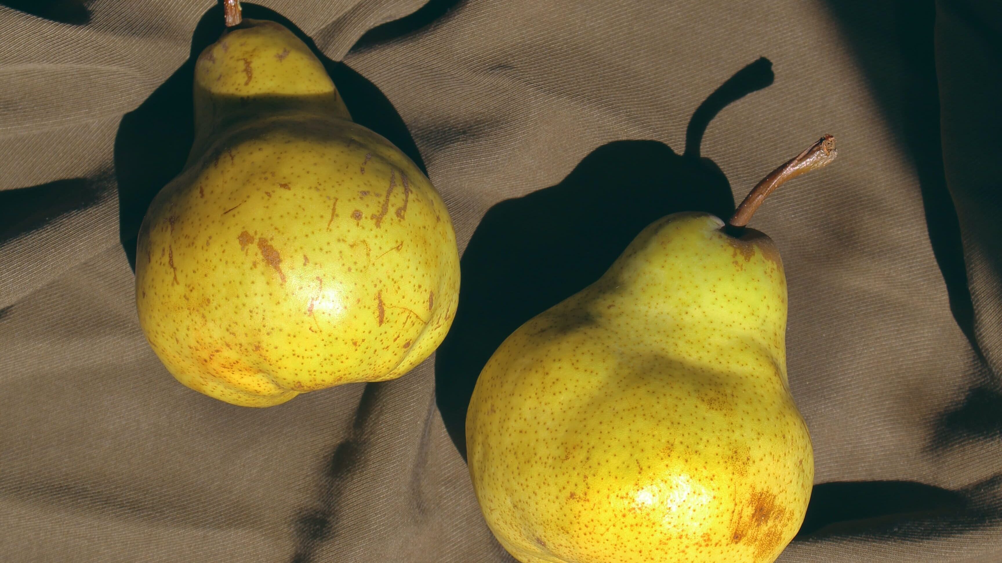 olesia-misty-112lUKNbNwM-unsplash (1)