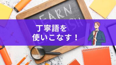 英語の丁寧語を使いこなそう！would you like の意味と使い方