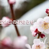 3月定休日のお知らせ（3/1 – 3/3）