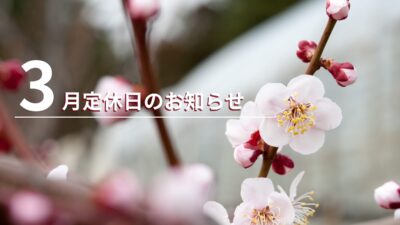 3月定休日のお知らせ（3/1 – 3/3）