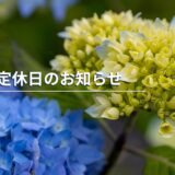 6月定休日のお知らせ（6/1 – 6/2）