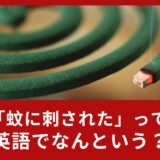 「蚊に刺された！」は英語で何て言う？夏に役立つ英語表現をご紹介